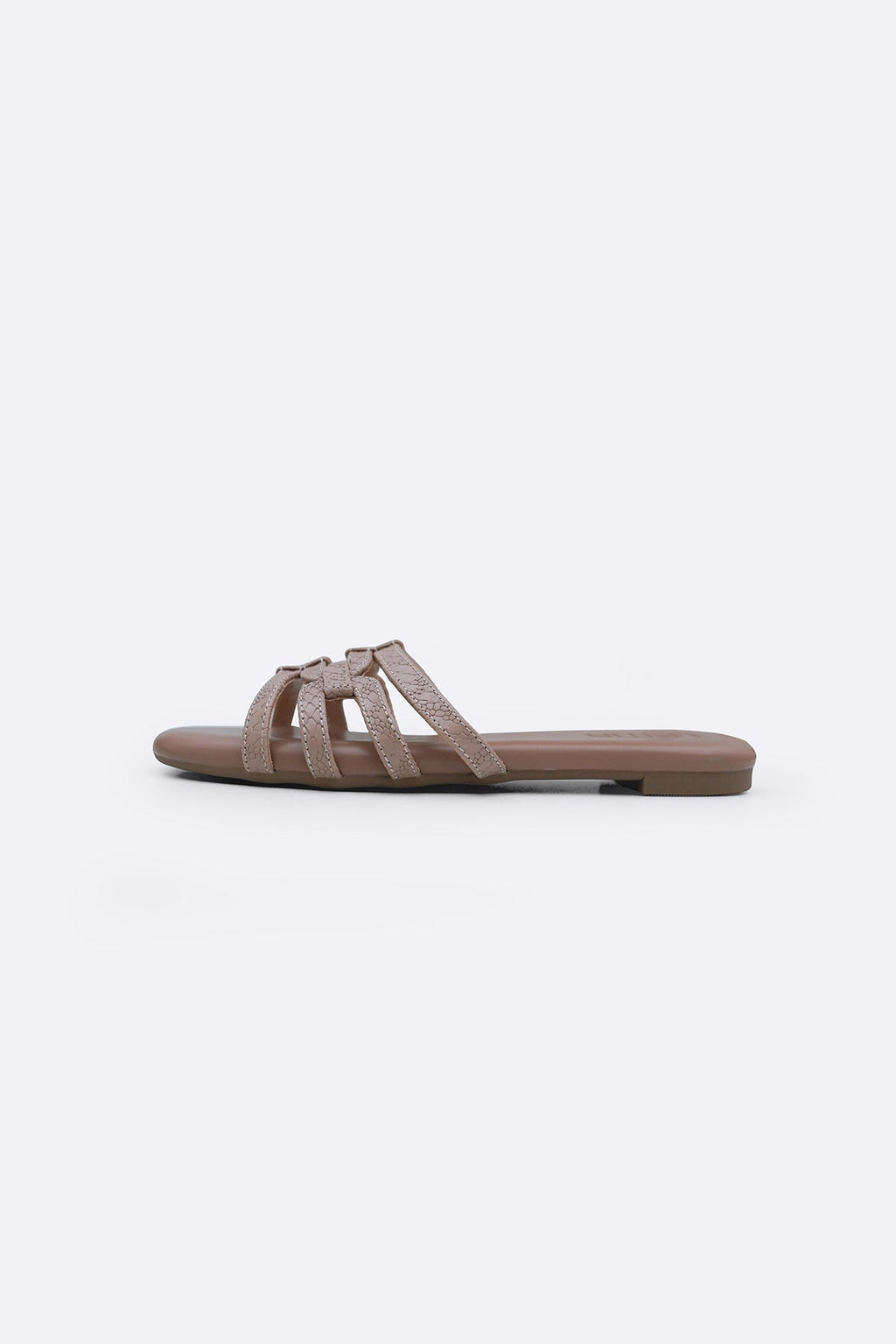 EASY DAY SLIDES